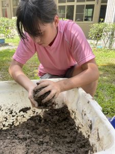 112年原生種生態池教學代表照片